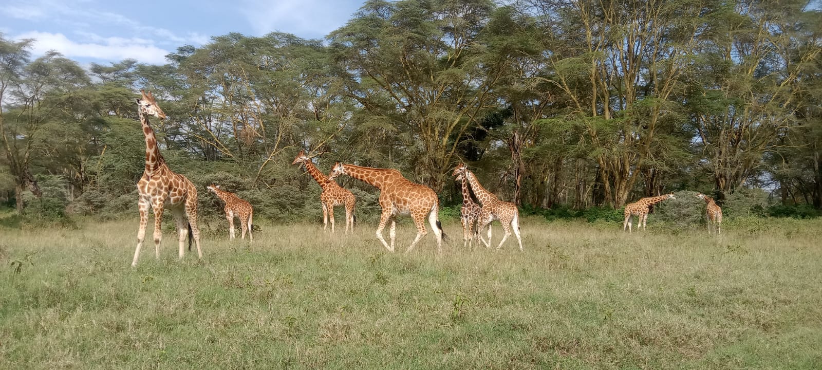 About Evocative Tour Safaris